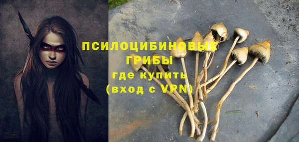трава Верхний Тагил