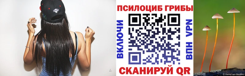 Галлюциногенные грибы GOLDEN TEACHER Оса